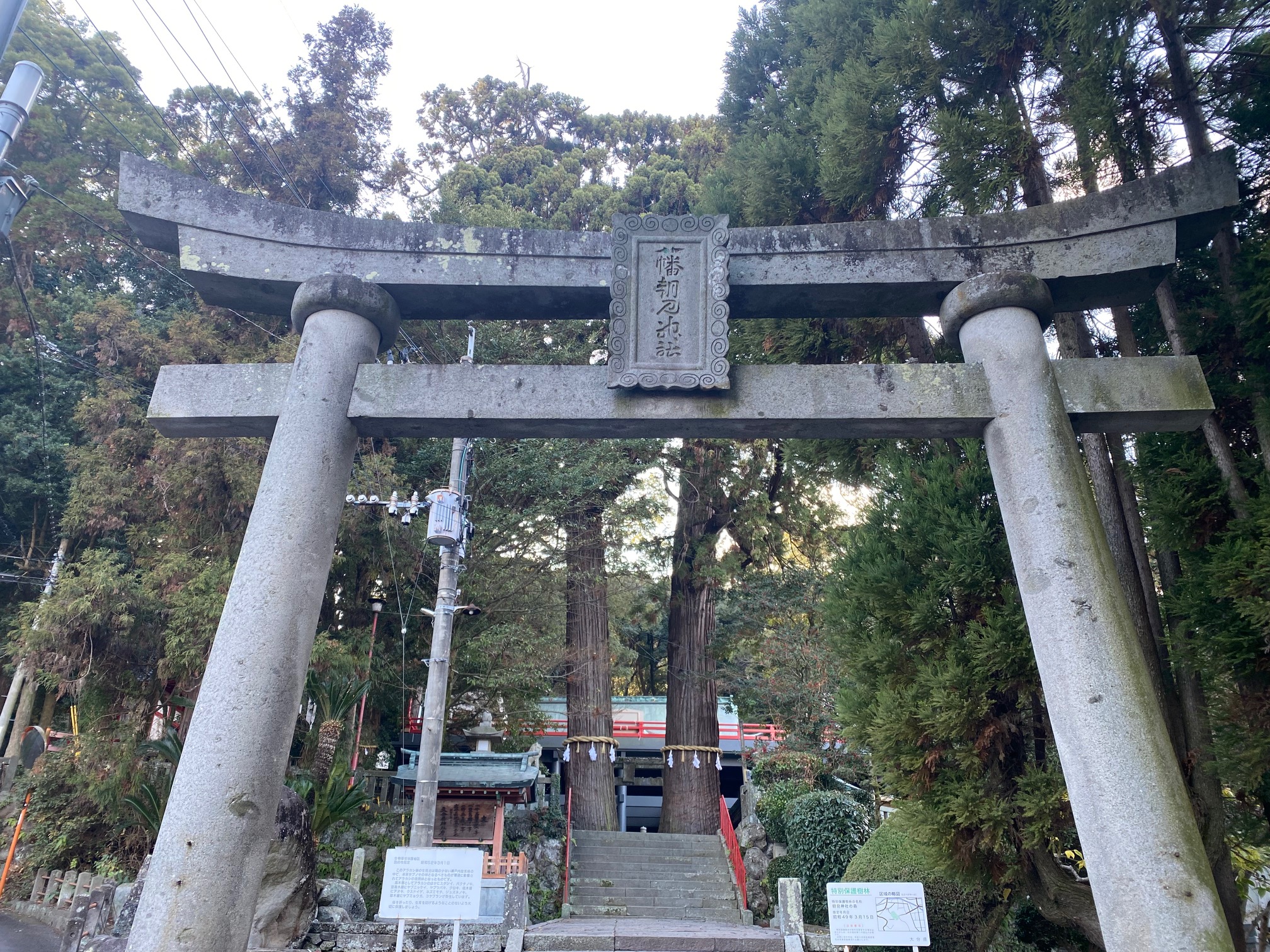 別府の八幡朝見神社